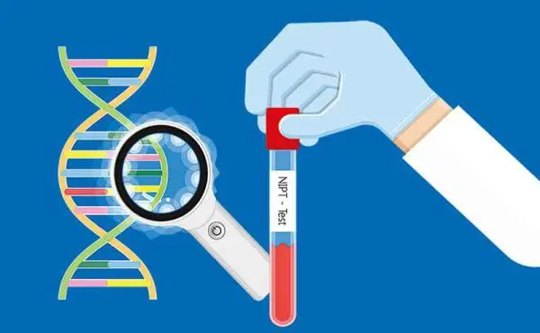 NIPT（新型出生前診断）検査結果の見方と注意点