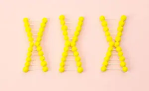 トリプルX症候群（トリソミーX）
