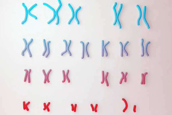 モノソミー　染色体が足りていない状態