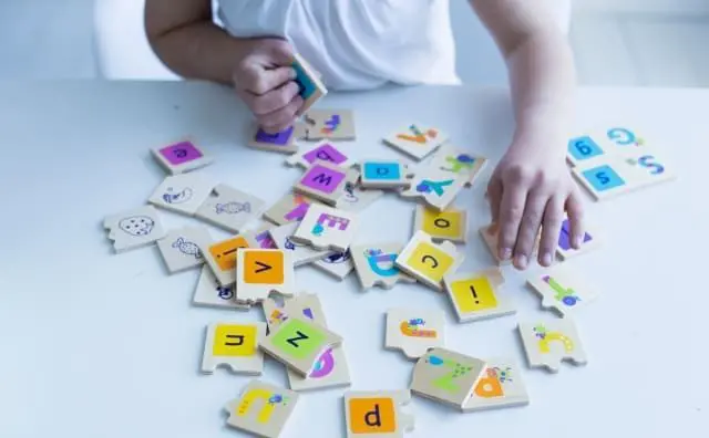 ダウン症(21トリソミー)のある子どもの教育　パズル　子供　写真