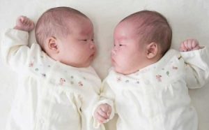 双子の不思議
