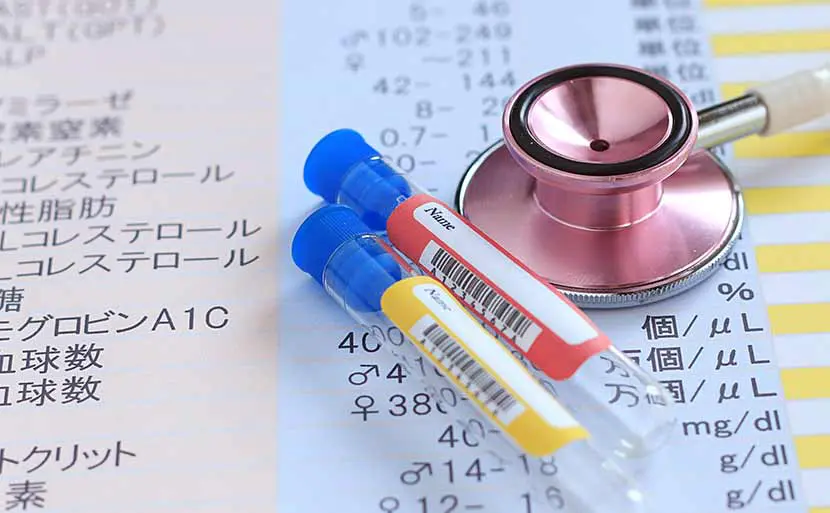 脂質異常症/高脂血症と妊娠　スピッツ　聴診器　写真