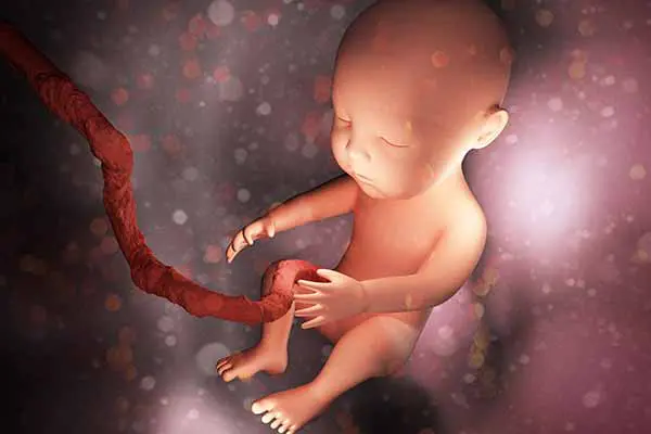 羊水の中の赤ちゃん