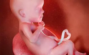 羊水とは？　胎児　画像