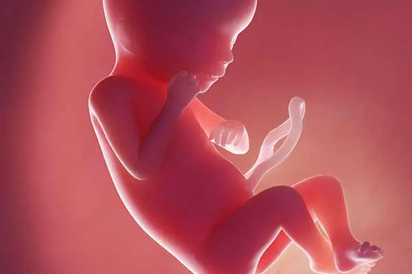 先天性横隔膜ヘルニアの原因