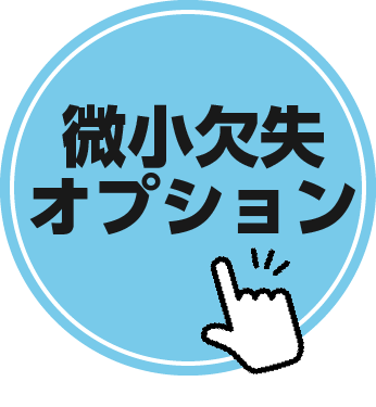 微小欠失オプション