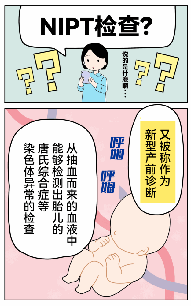 niptとは