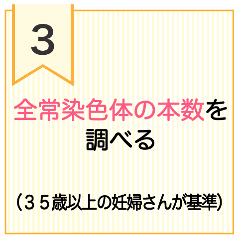 检测所有常染色体的数量