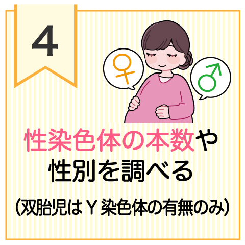 检测性染色体的数量及性别