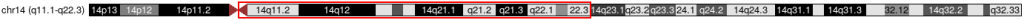 14q11-q22