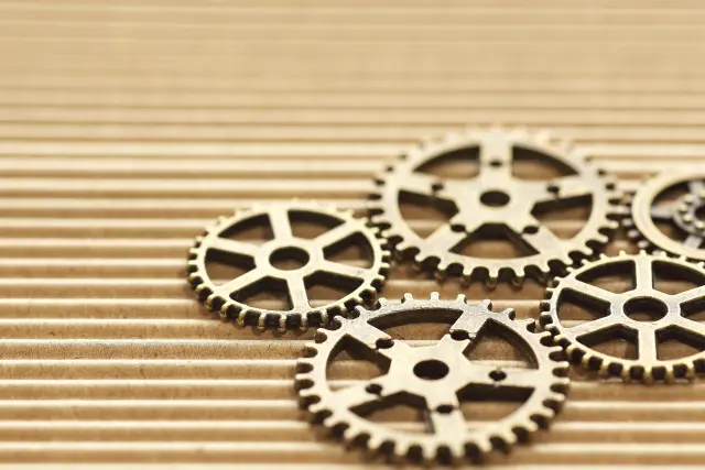 歯車ごとく細胞内の仕組み