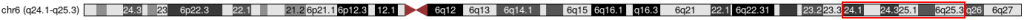 6q246q25