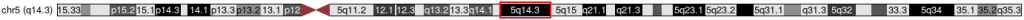 5q14.3