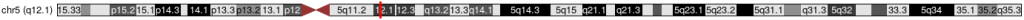 ERCC8