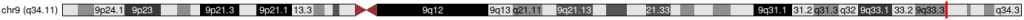 9q34.11 STXBP1 EIEE4
