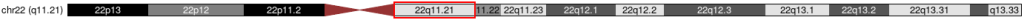 22q11.21