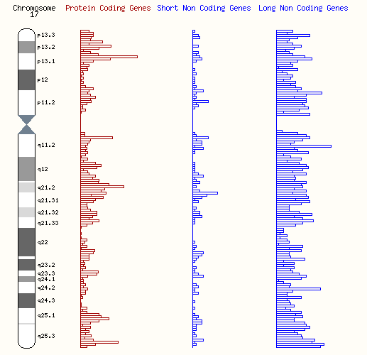 ミラー・ディーカー症候群：稀な遺伝性疾患の症状と管理方法
