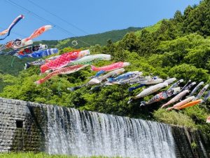 空にたなびく鯉のぼりたち。違いを持ちながらも、それぞれが美しく、意味をもって織りなされたように見える姿に、子どもたちが一人ひとり、尊く創られているという想いを重ねて。