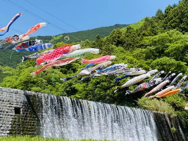 空にたなびく鯉のぼりたち。違いを持ちながらも、それぞれが美しく、意味をもって織りなされたように見える姿に、子どもたちが一人ひとり、尊く創られているという想いを重ねて。
