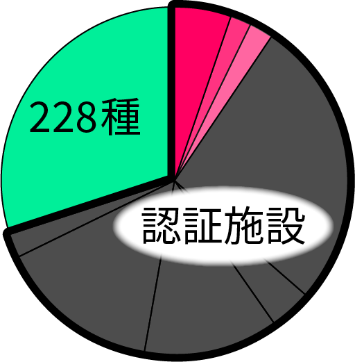 オプション追加イメージ