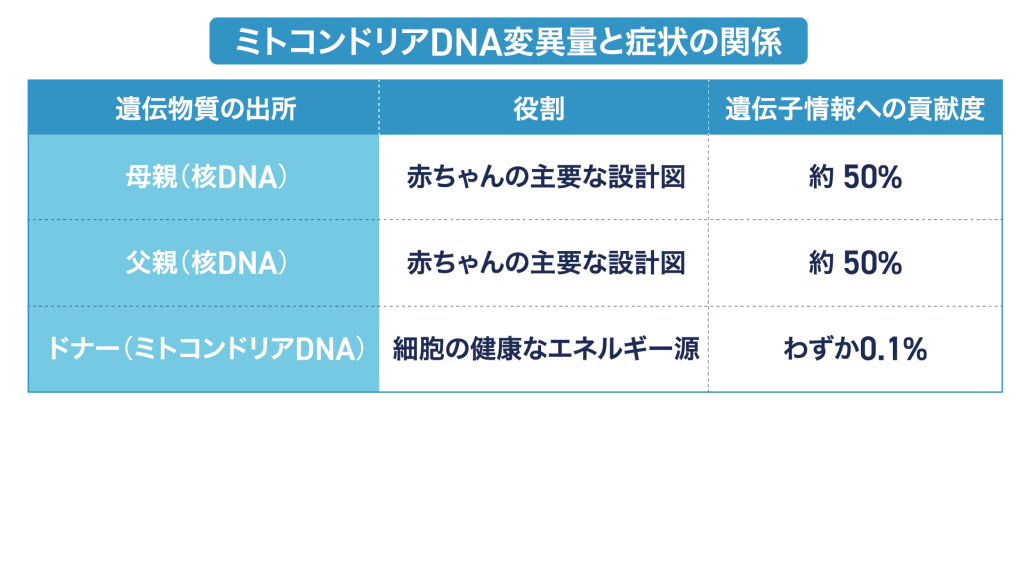 ミトコンドリアDNA変異量