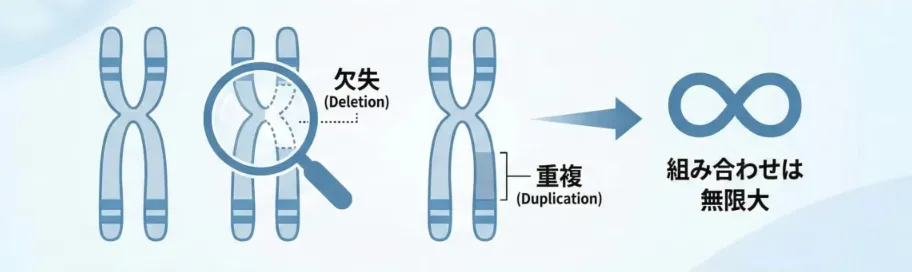 NIPT検査でわかること