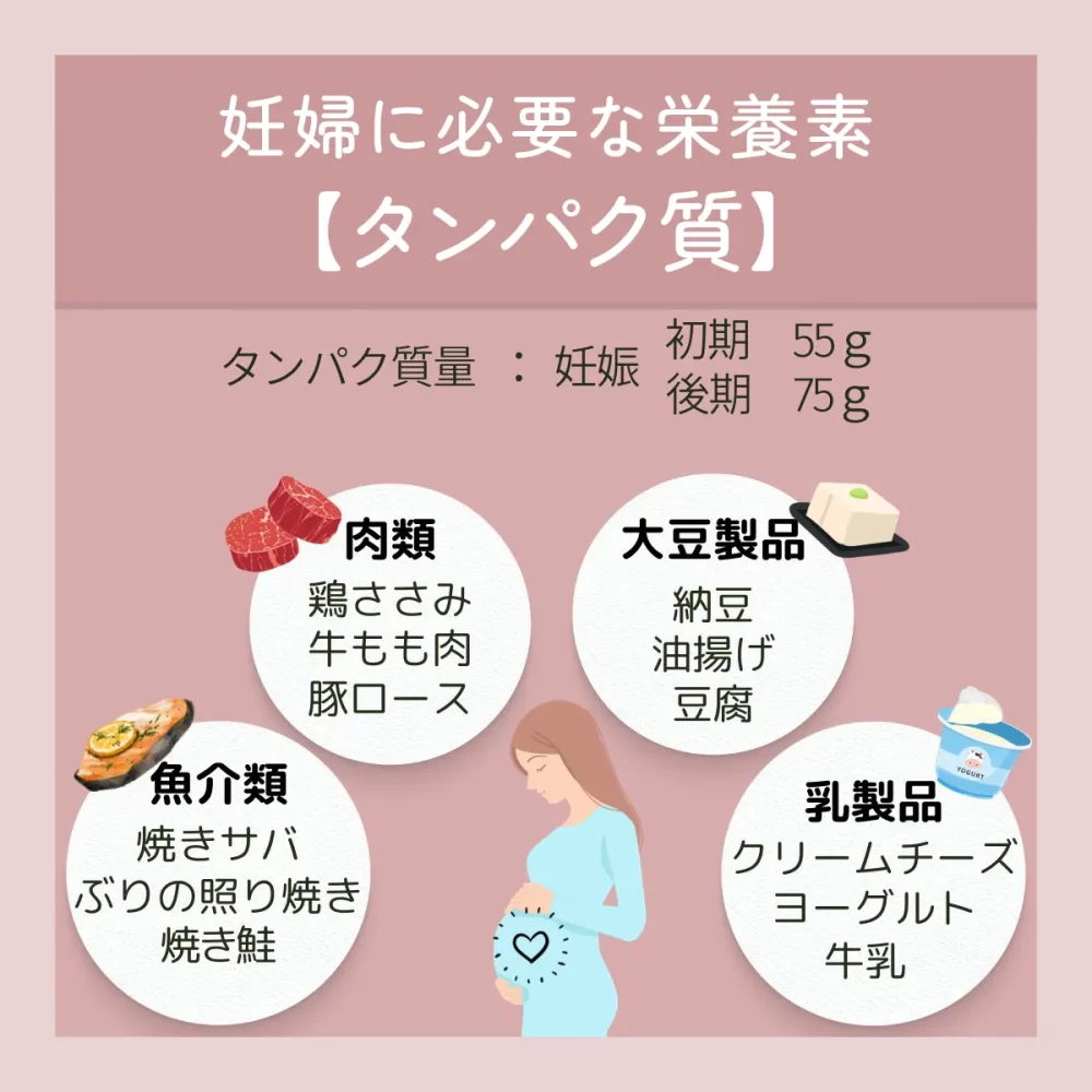 妊娠中のおすすめ食べ物リスト
