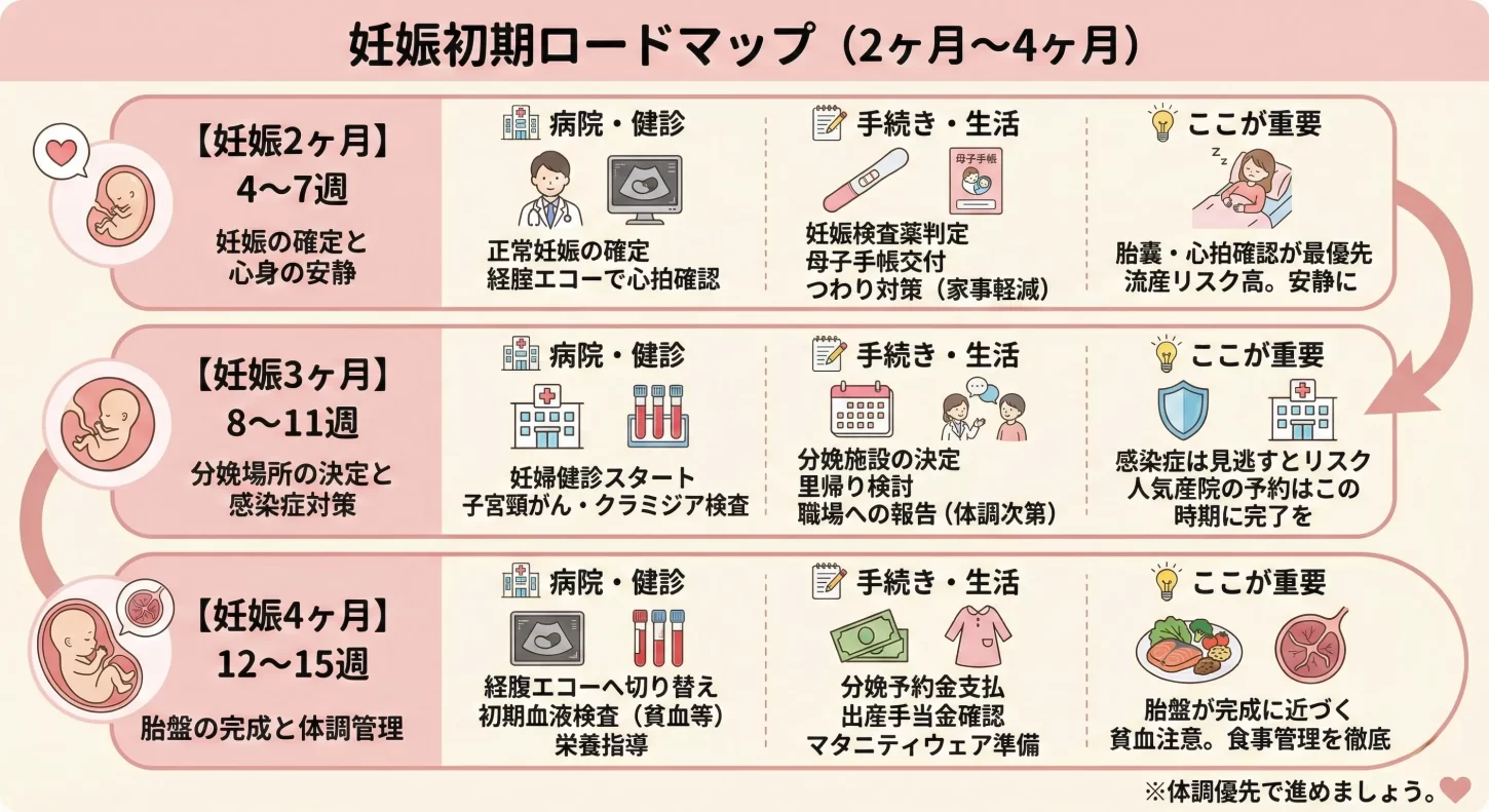 妊娠初期ロードマップ（2ヶ月〜4ヶ月）