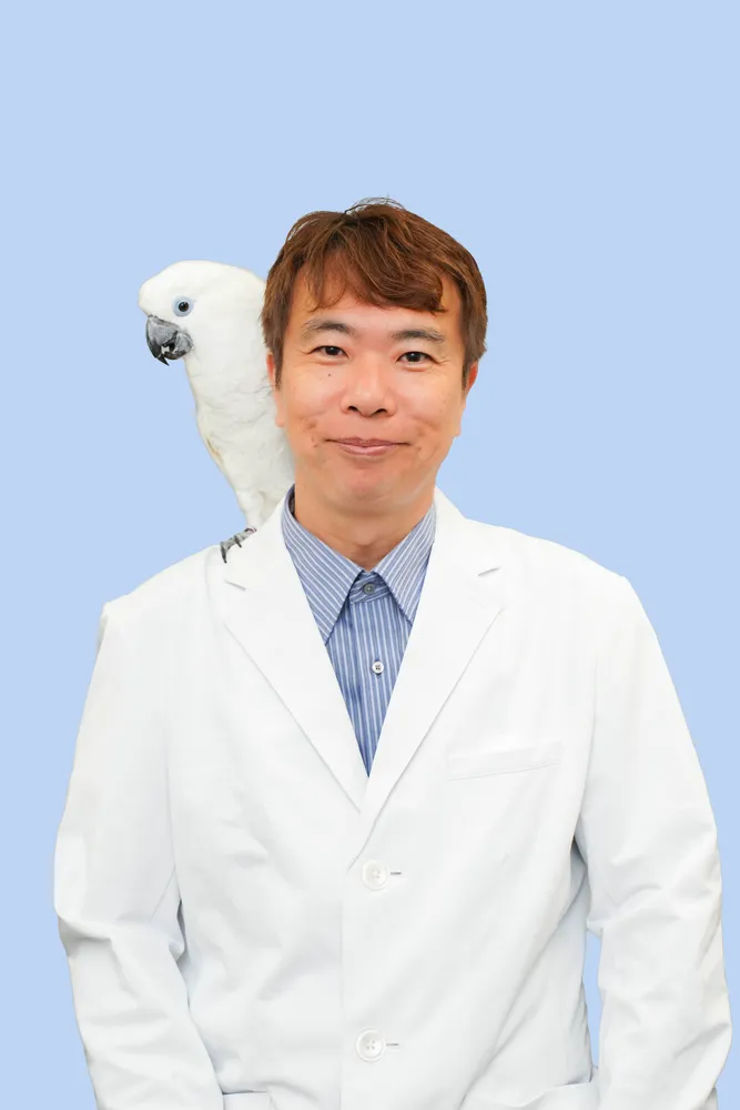 監修医師 岡博史