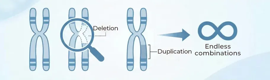 NIPT検査でわかること