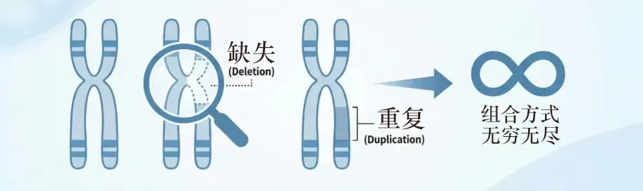 NIPT検査でわかること