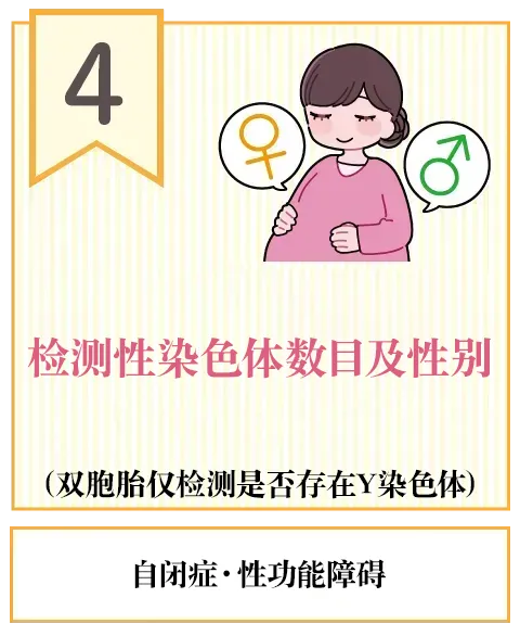 检查性染色体数量及性别