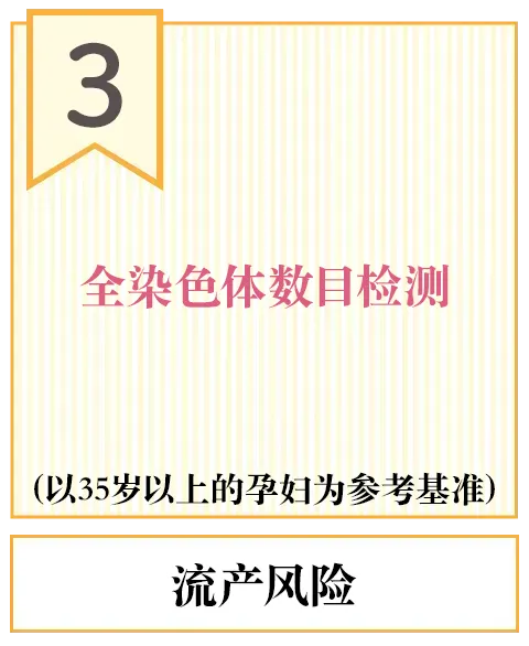 检查全部染色体数量
