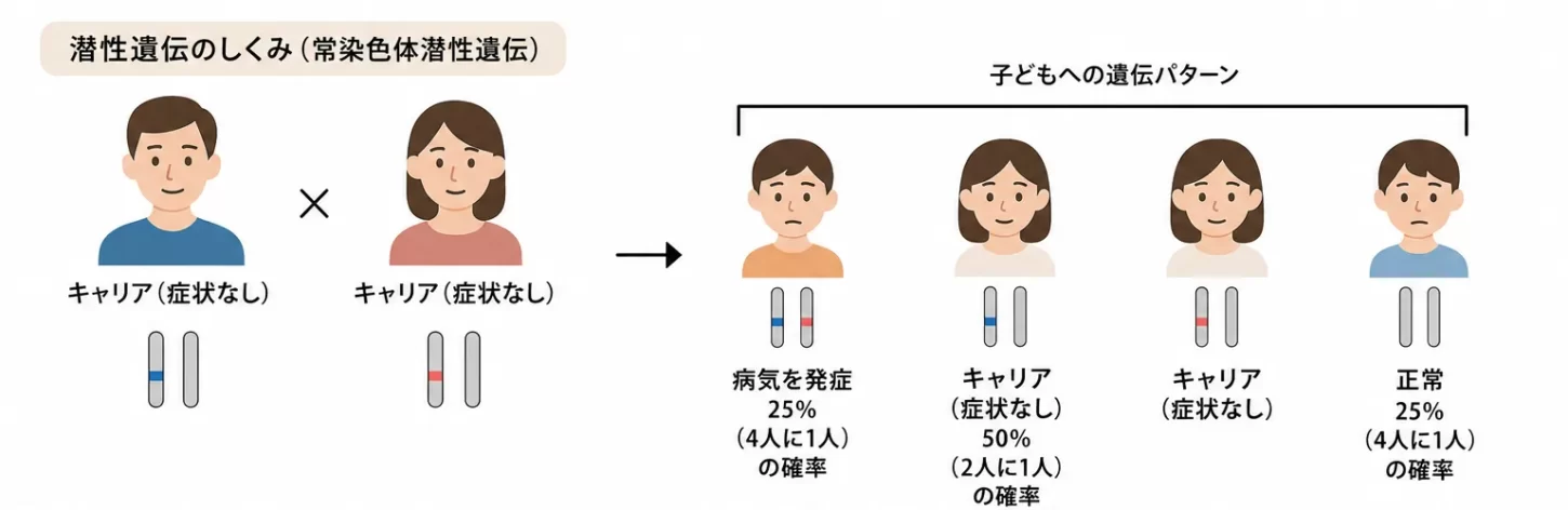 両親が同じ遺伝子変異を持っている場合