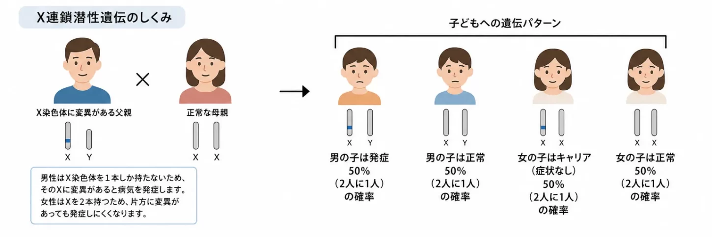 潜性遺伝で両親から同じ遺伝子変異を受け継ぎ発症する仕組みの図解