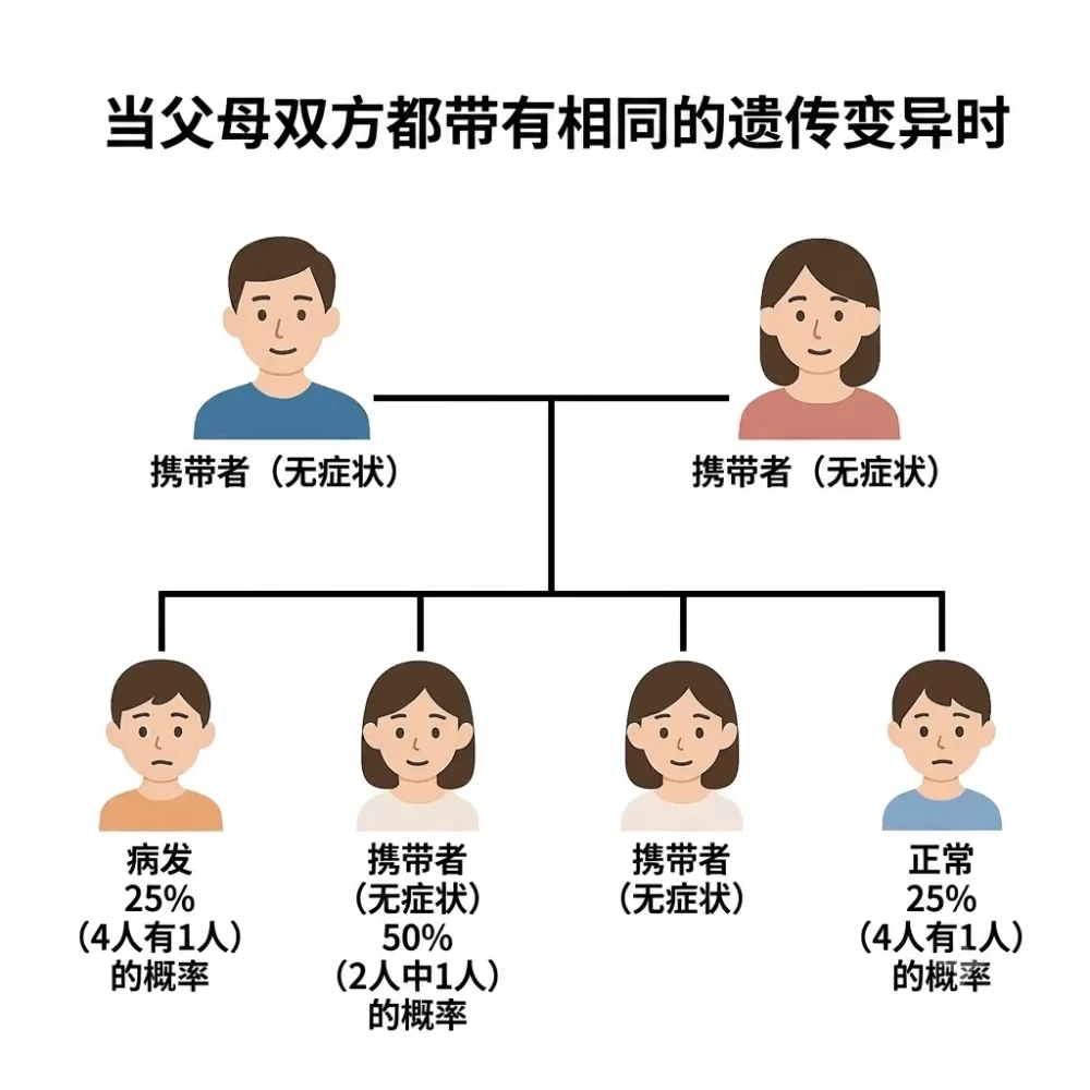 夫妻双方携带有相同基因变异时的遗传概率