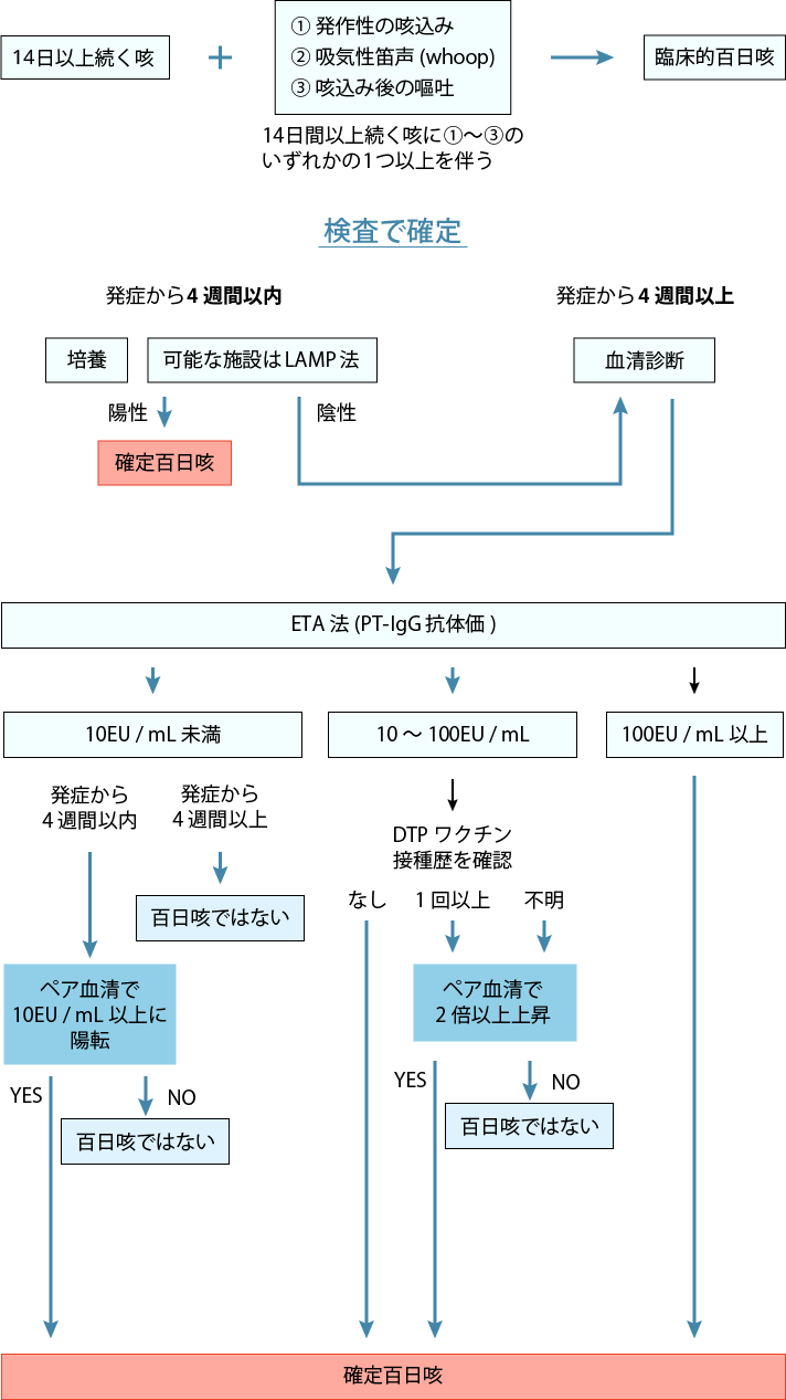 百日咳診断フローチャート