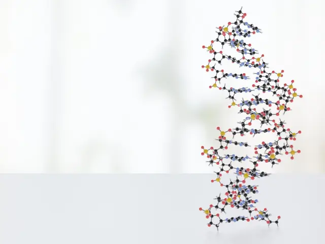 A-DNA?