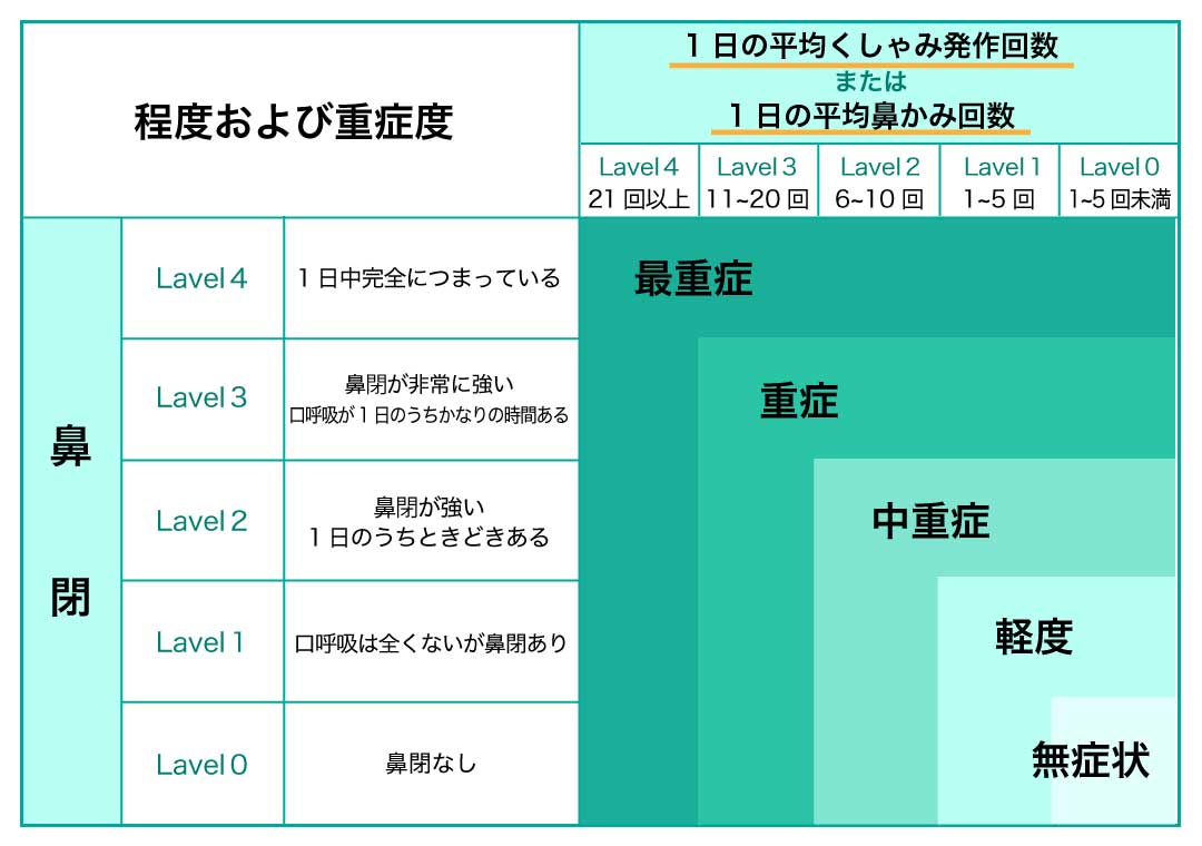 アレルギー性鼻炎症状の重症度分類
