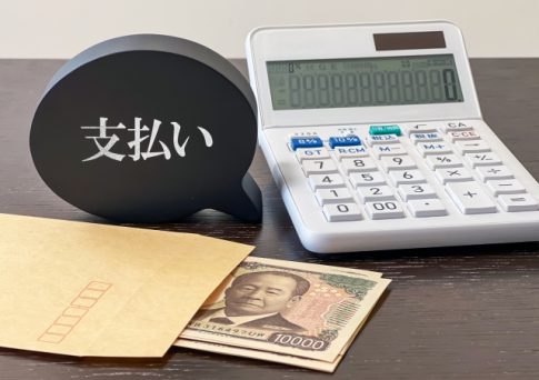 親子鑑定 NIPPT DNA鑑定 費用