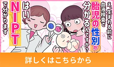 胎児の性別は10週目でわかる