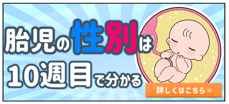 胎児の性別は10週目でわかる