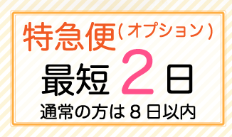 特急便 最短2日