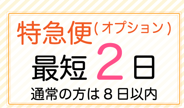 特急便 最短2日