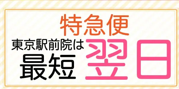 特急便 最短翌日